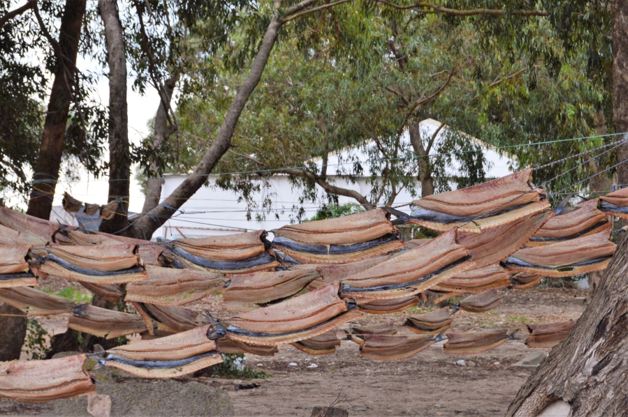 0 Bedroom Property for Sale in Steenbergs Cove Western Cape